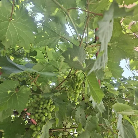 Апартаменты B&d Сплит